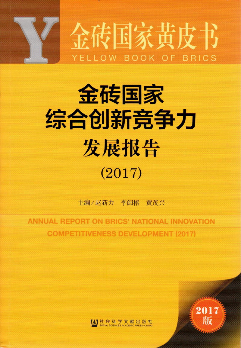 男生jb插进骚逼里好舒服好爽操逼喷水淫叫视频www金砖国家综合创新竞争力发展报告（2017）